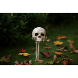 Skull in Hand Groundbreaker