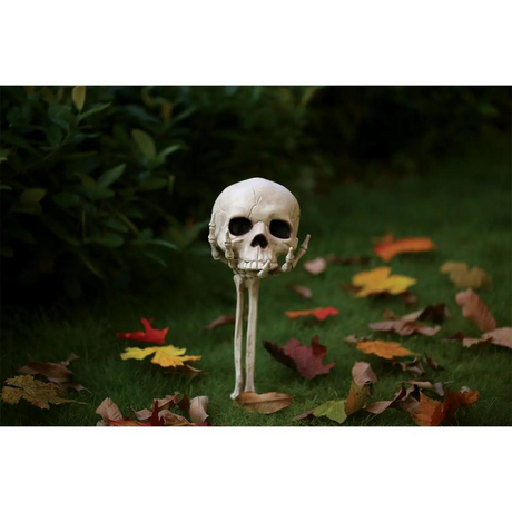Skull in Hand Groundbreaker