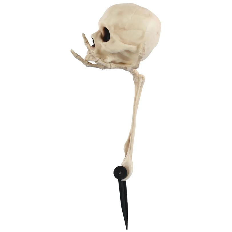Skull in Hand Groundbreaker