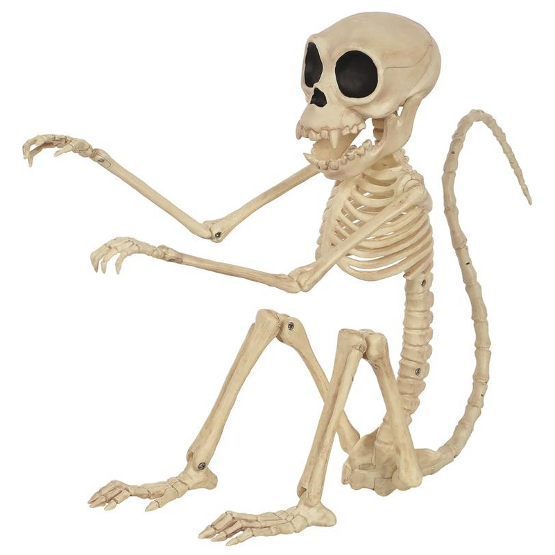 SKELETON MONKEY