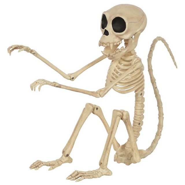 SKELETON MONKEY