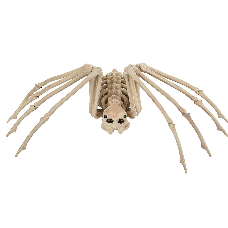 Creepy 20.5 Inch Skeleton Spider Prop for Halloween Decor and Spooky Home Accents