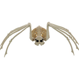 Skeleton Spider Prop