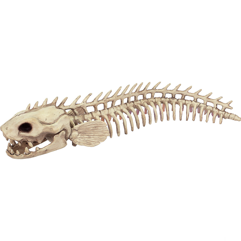 Realistic Skeleton Eel Prop for Halloween Decorations and Themed Parties