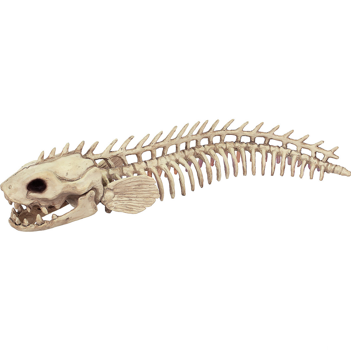 Realistic Skeleton Eel Prop for Halloween Decorations and Themed Parties
