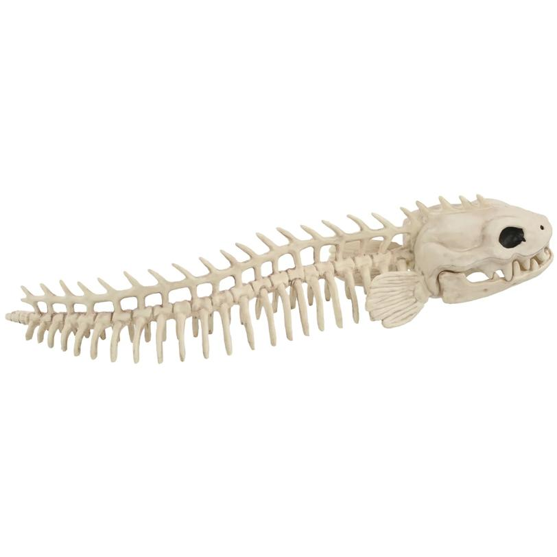 Skeleton Eel Prop