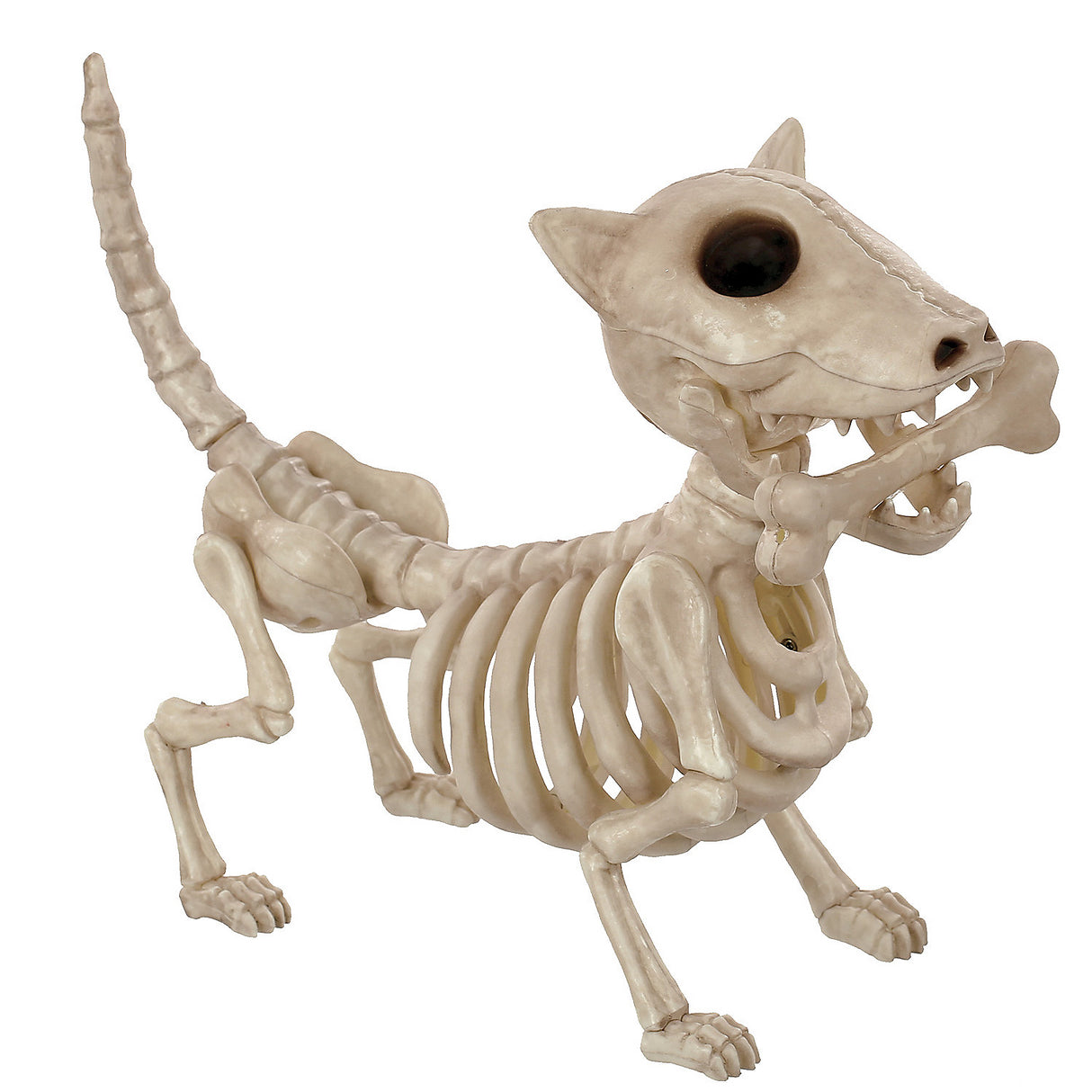 Digger the Skeleton Dog Prop for Halloween Decorations and Spooky Themed Events