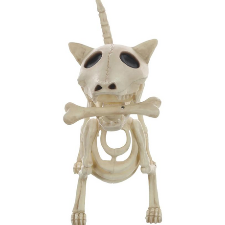 Digger the Skeleton Dog
