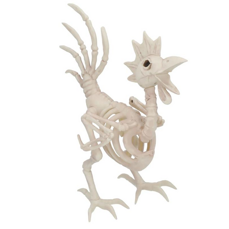12 1/2" Rooster Skeleton Halloween Tabletop Decoration