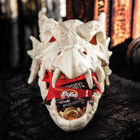 Light-Up Dragon Skull Candy Bowl Halloween Decoration 8"