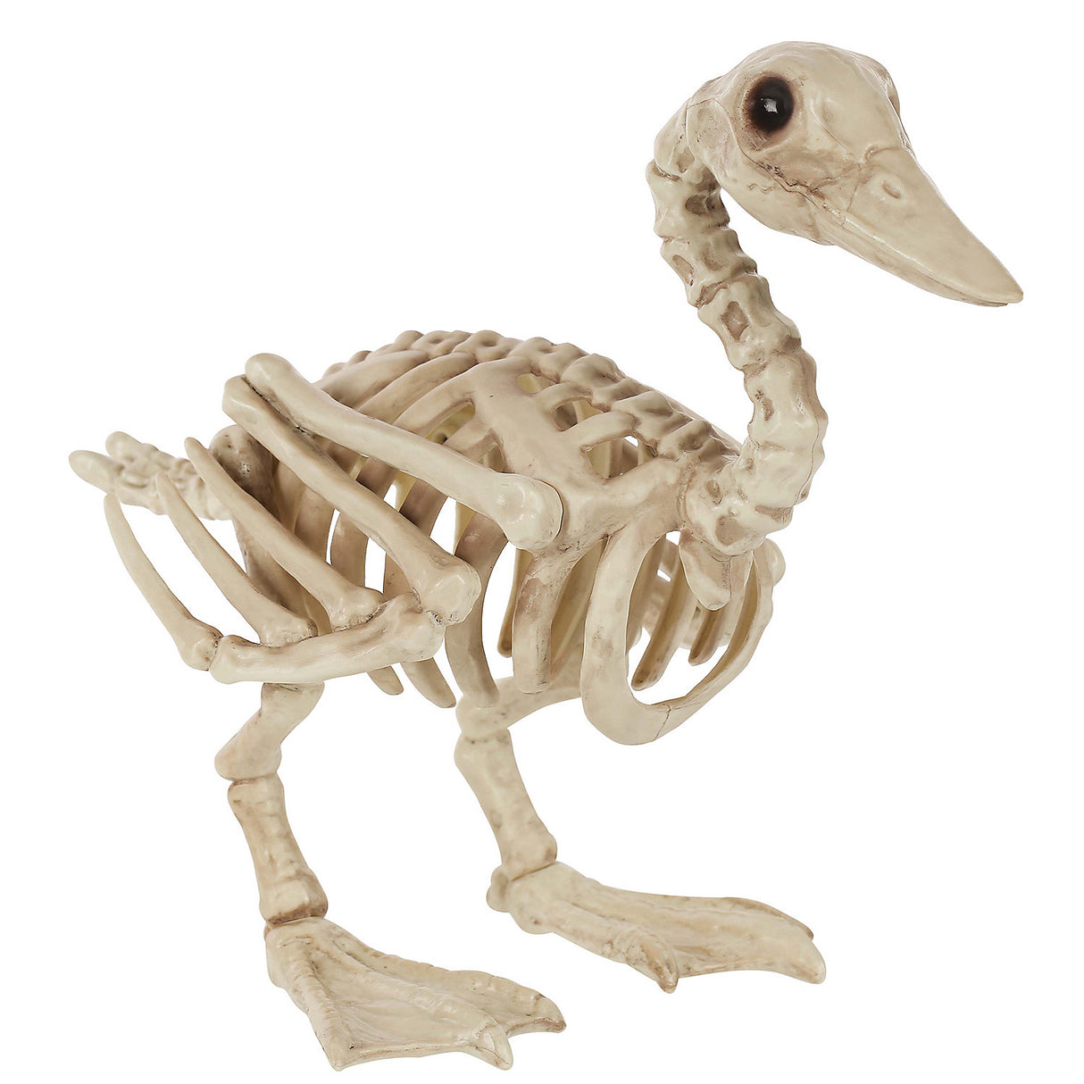 Skeleton Duck Bonez Prop for Spooky Decor Halloween Events and Themed Parties
