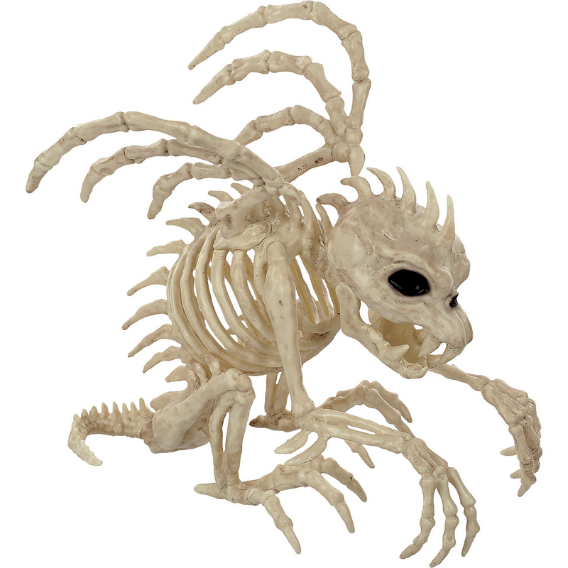 10 Inch Skeleton Gargoyle Prop for Halloween Decorations and Spooky Home Decor