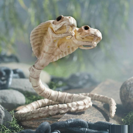5 1/2" Two-Headed Cobra Snake Skeleton Halloween Decoration
