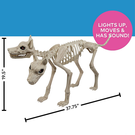 Animated Two-Headed Doberman Dog Skeleton Halloween Decoration 37 3/4