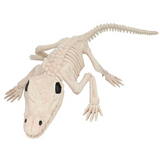 13 1/2" Crocodile Skeleton Halloween Decoration