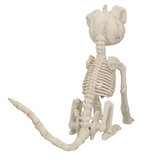 24 1/4" Sitting Pumpkin-Head Dog Skeleton Halloween Decoration