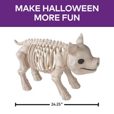 24 1/4" Standing Pig Skeleton Halloween Decoration