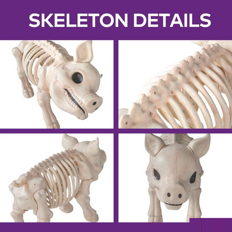 24 1/4" Standing Pig Skeleton Halloween Decoration