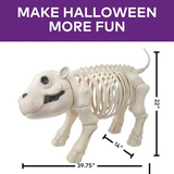 22" Standing Hippo Skeleton Halloween Decoration