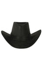 Cowboy Hat