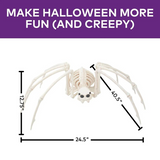 40" Creepy Spider Skeleton Halloween Decoration