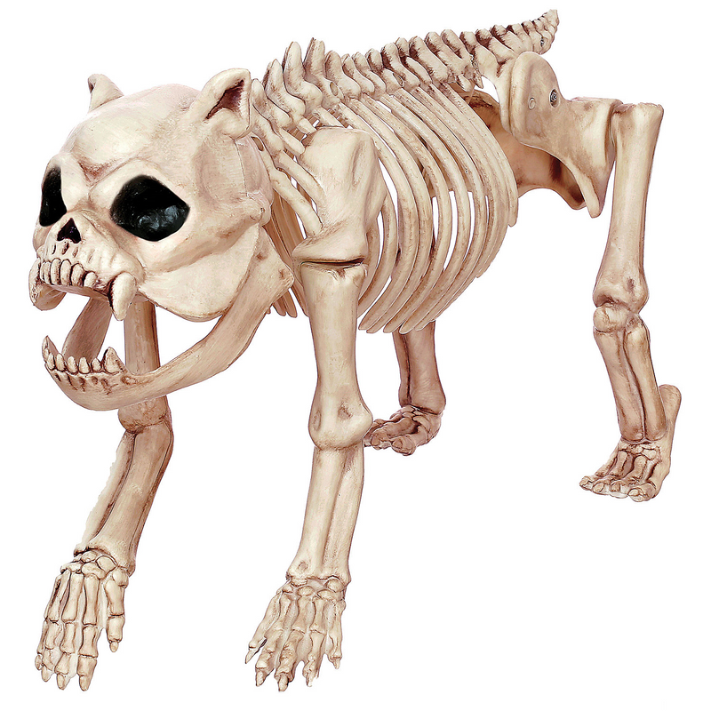 Decorative Skeleton Bones Dog Prop for Home Haunts Halloween Displays and Year-Round Decor