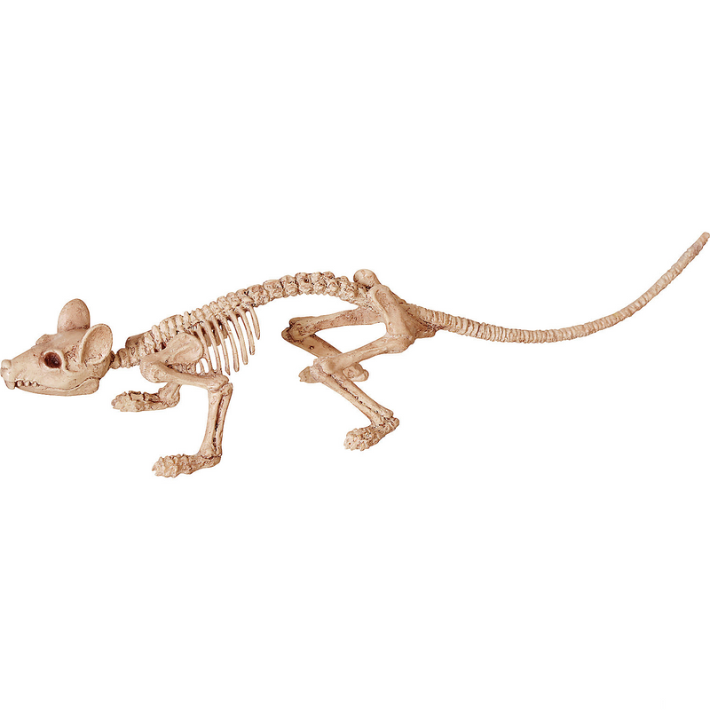 Mini Skeleton Rat for Halloween Decorations Parties and Props for Themed Events