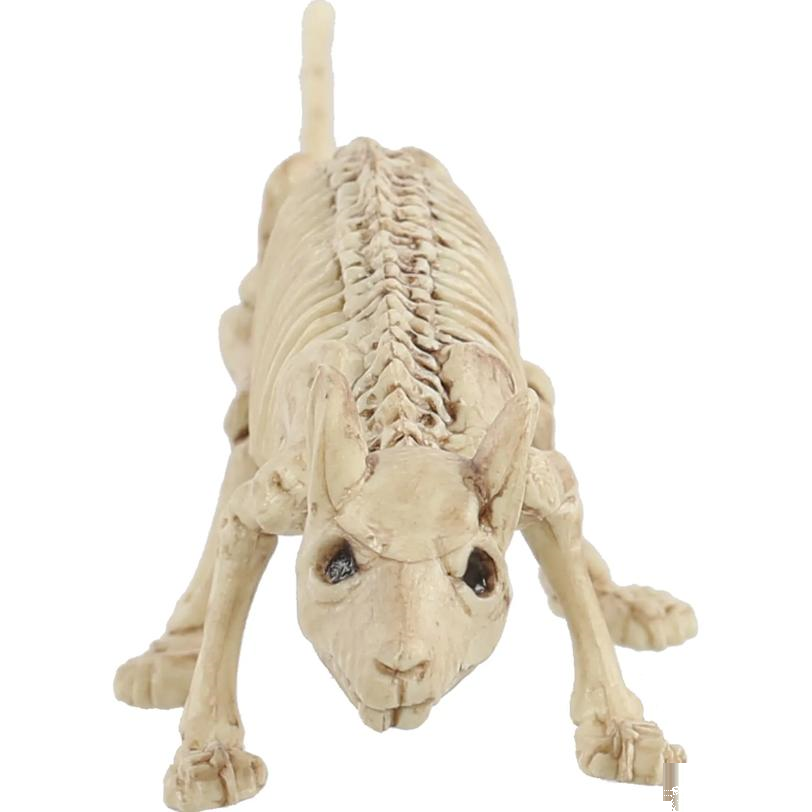 Mini Skeleton Rat