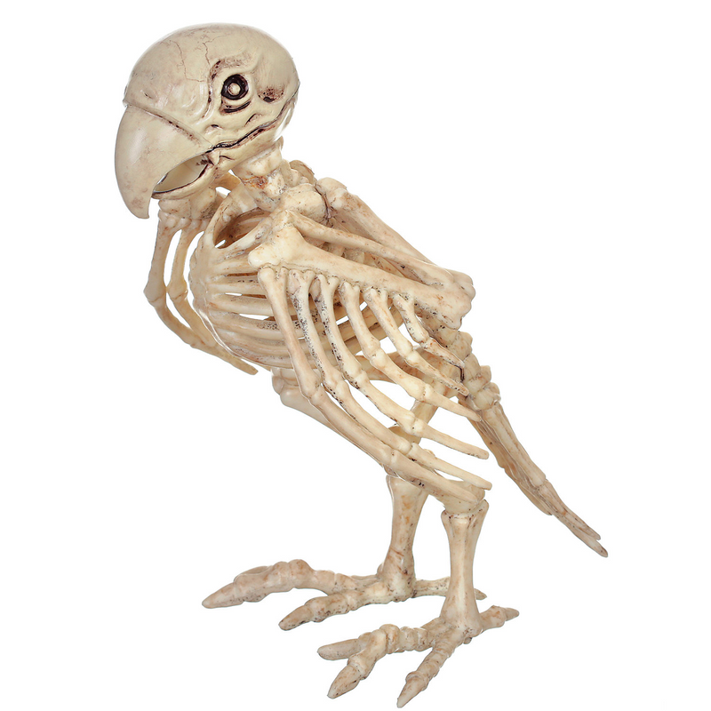 Decorative Skeleton Parrot Prop for Halloween Parties Home Decor and Themed Celebrations