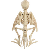 Skeleton Parrot Prop