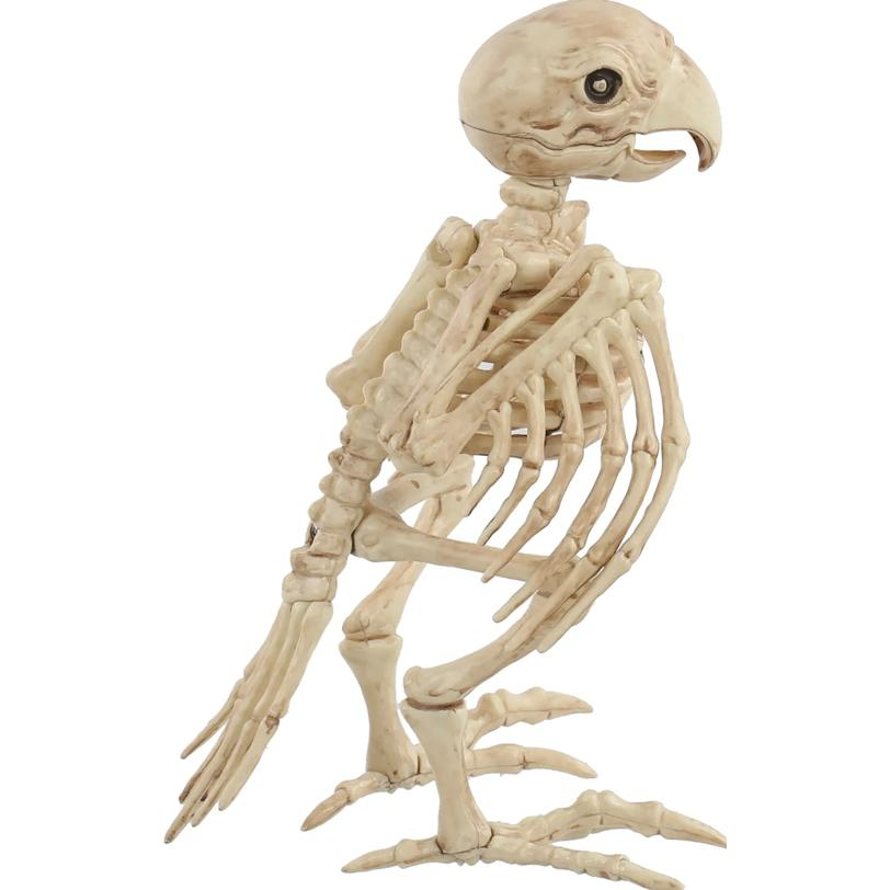 Skeleton Parrot Prop