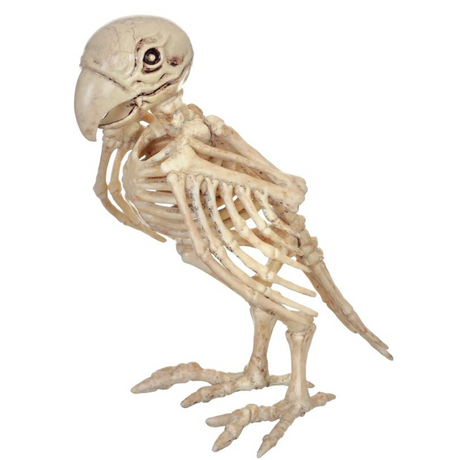 Skeleton Parrot Prop