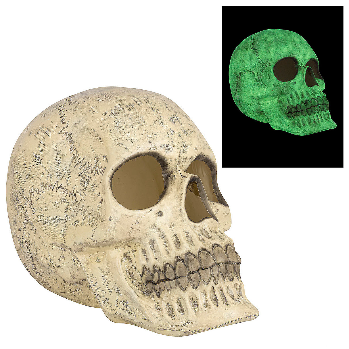 Glow-in-the-Dark Skull Halloween Decoration for Indoor and Outdoor Decor Parties and Haunted Houses