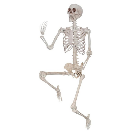 SKELETON TITAN