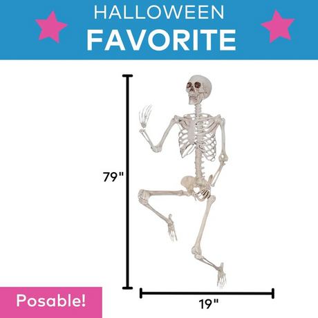 SKELETON TITAN