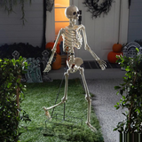 5 Ft. Skeleton Stand Halloween Decoration Display