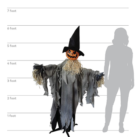 Pumpkin Animated With Hat