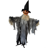 Pumpkin Animated With Hat