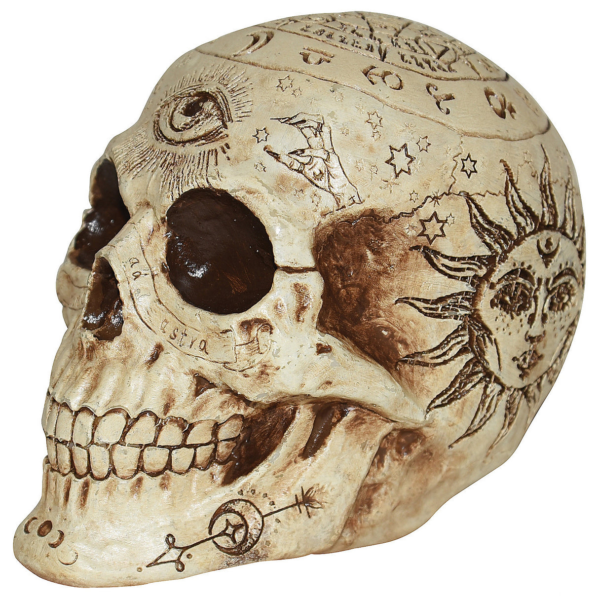 Unique 7 Inch Zodiac Skull Halloween Decoration for Spooky Parties and Haunted House Displays