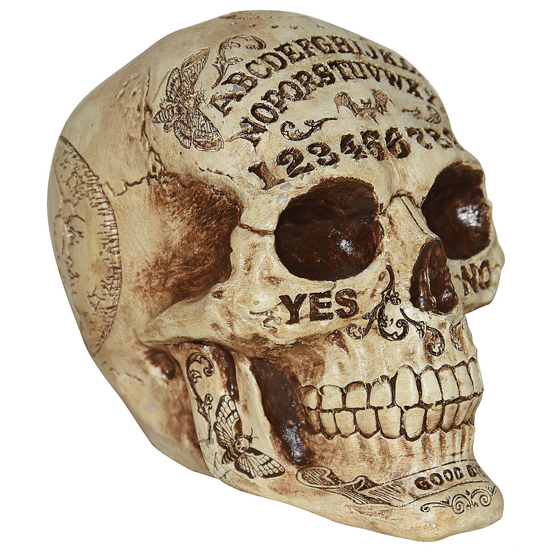 Fortune Teling Skull Halloween Decoration 7"