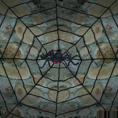 Giant Spider Web With Spider
