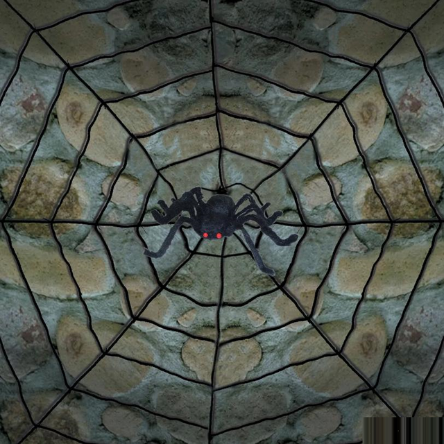 Giant Spider Web With Spider