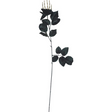 Skeleton Hand Rose