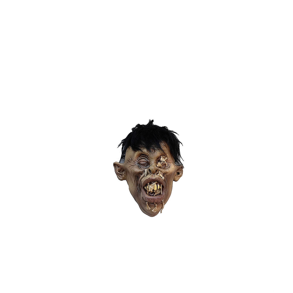 Ghoulish Productions Shrunken Head B-2 Halloween Decoration for Haunted House Horror Themes and Spooky Parties