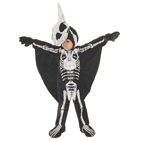 Child's Pterodactyl Costume