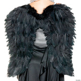 Adult Feather Wings 26in