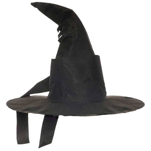 Wizard Hat Curved Black Adult Costume Accessory