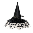Witch Hat Deluxe Black with Veil Adult Costume Accessory