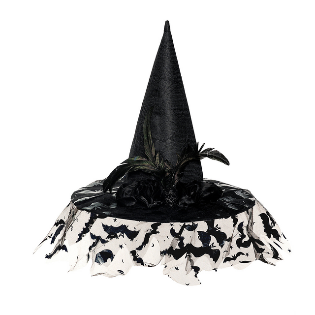 Witch Hat Deluxe Black with Veil Adult Costume Accessory