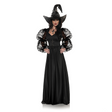 Adults Spider Web Mistress Black Lace Front Dress with Witch Hat Costume